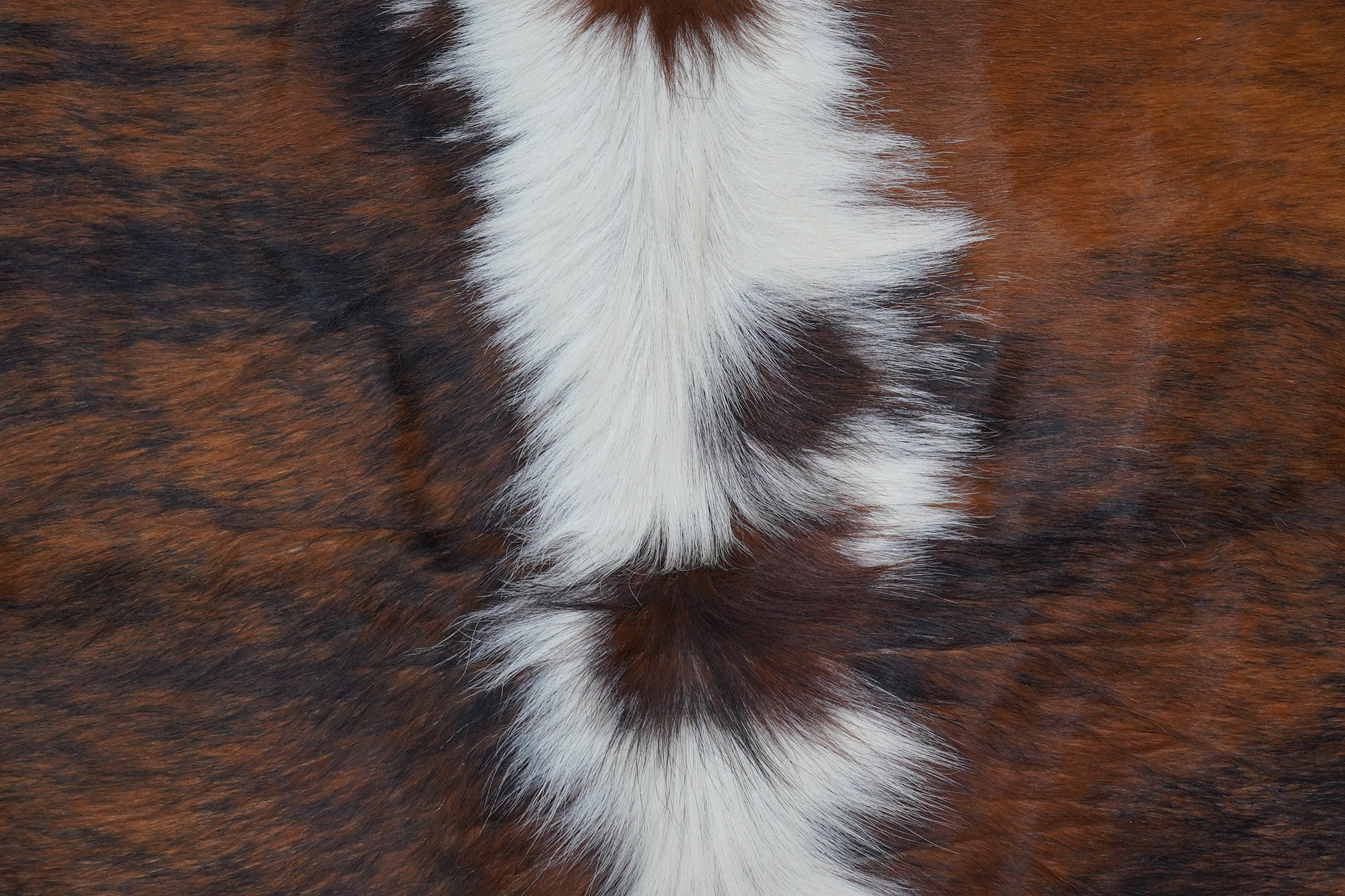 A brown and cream cowhide rug. Condition - fair, as per the images